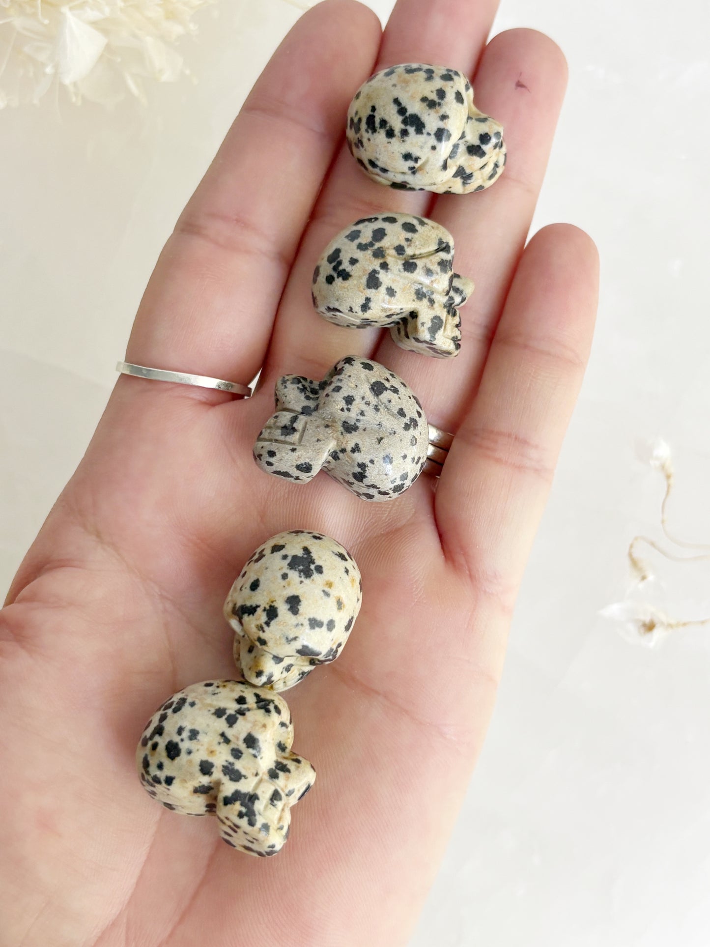 DALMATIAN JASPER MINI SKULL || INTUITIVELY CHOSEN
