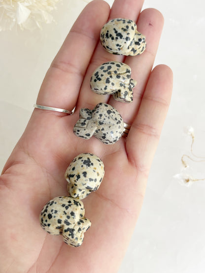 DALMATIAN JASPER MINI SKULL || INTUITIVELY CHOSEN
