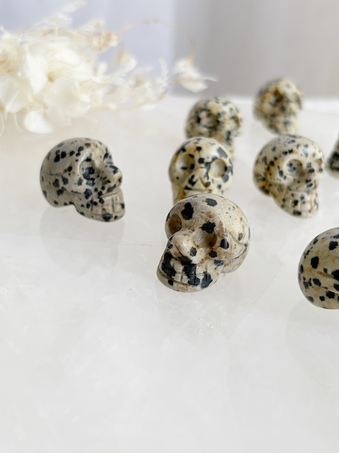 DALMATIAN JASPER MINI SKULL || INTUITIVELY CHOSEN