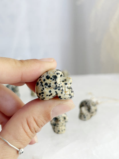 DALMATIAN JASPER MINI SKULL || INTUITIVELY CHOSEN