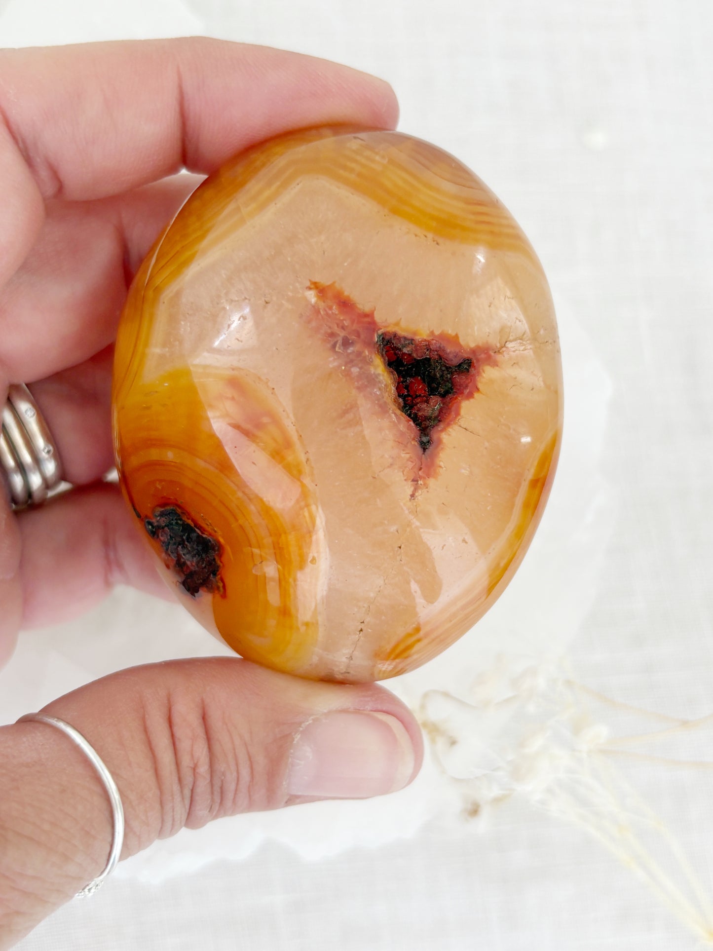 CARNELIAN FREEFORM PALMSTONE || CPS02