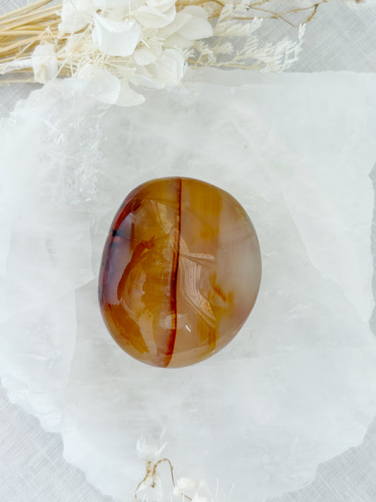 CARNELIAN FREEFORM PALMSTONE || CPS03