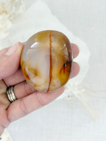 CARNELIAN FREEFORM PALMSTONE || CPS03