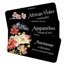 THE LANGUAGE OF FLOWERS || MINI AFFIRMATION DECK
