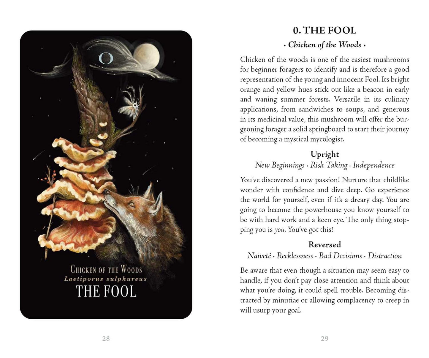 MIDNIGHT MAGIC || A TAROT DECK OF MUSHROOMS