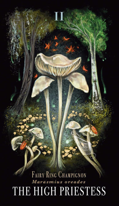 MIDNIGHT MAGIC || A TAROT DECK OF MUSHROOMS