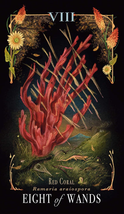 MIDNIGHT MAGIC || A TAROT DECK OF MUSHROOMS