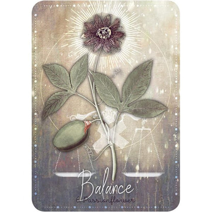 MAGICKAL HERB ORACLE || CHERALYN DARCEY