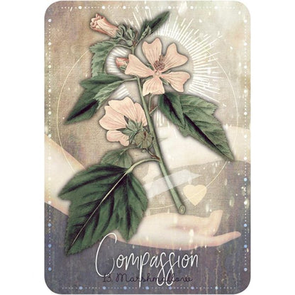 MAGICKAL HERB ORACLE || CHERALYN DARCEY