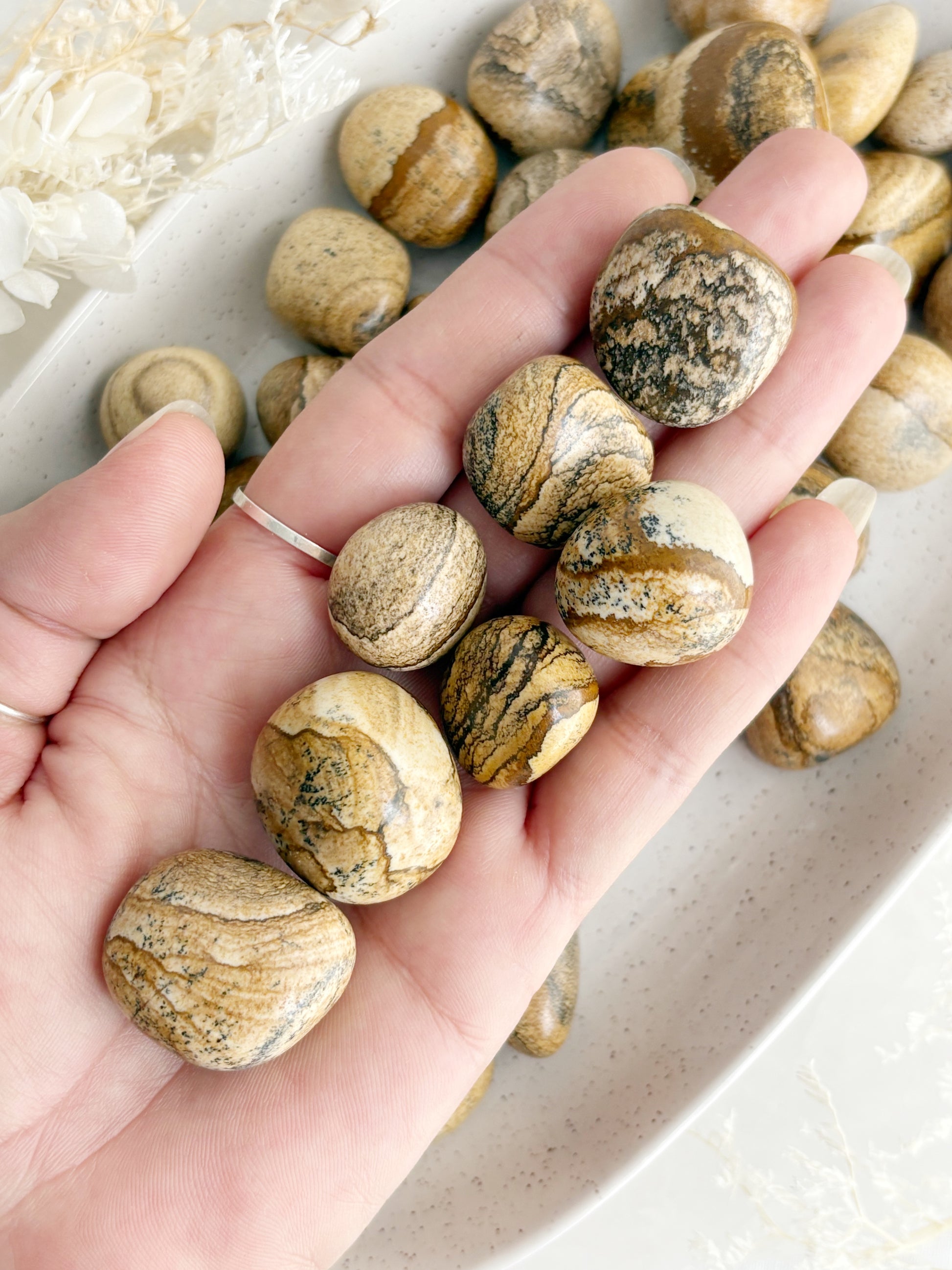 PICTURE JASPER TUMBLE STONE STONED AND SAGED CRYSTAL SHOP AUSTRALIA