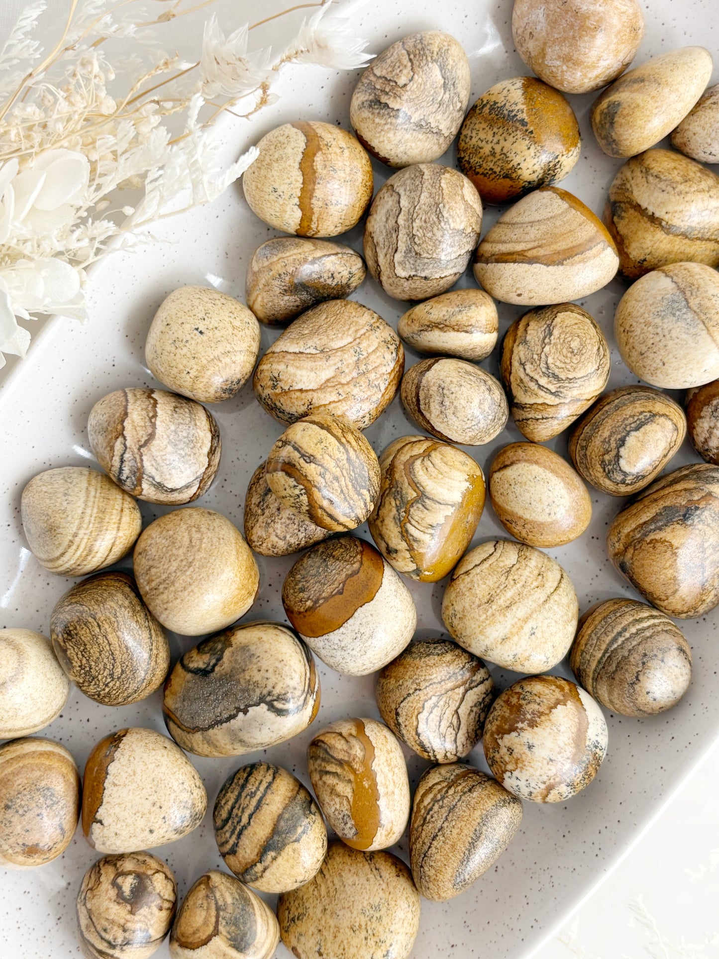 PICTURE JASPER TUMBLE STONE STONED AND SAGED CRYSTAL SHOP AUSTRALIA