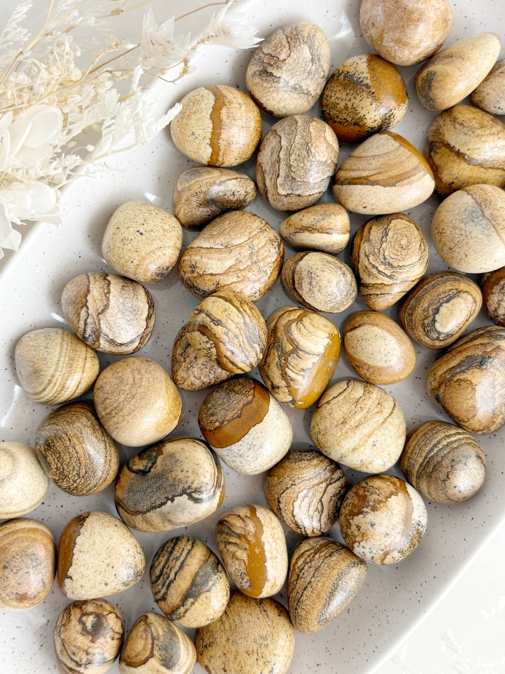 PICTURE JASPER TUMBLE STONE STONED AND SAGED CRYSTAL SHOP AUSTRALIA