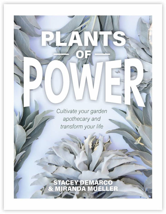 PLANTS OF POWER || STACEY DEMARCO & MIRANA MUELLER