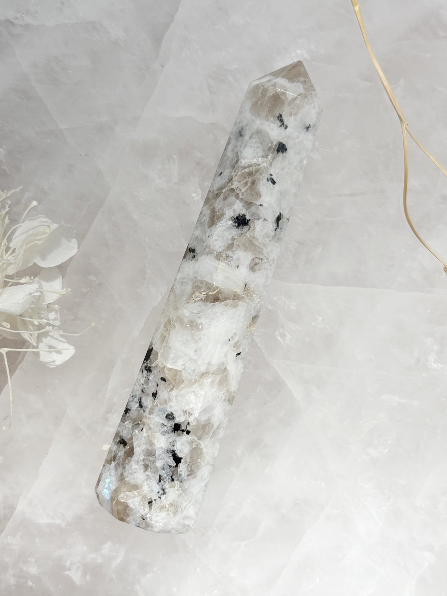 RAINBOW MOONSTONE GENERATOR STONED AND SAGED AUSTRALIA