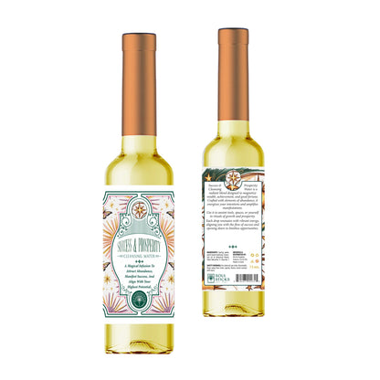 CLEANSING WATERS 200ML || SOUL STICKS