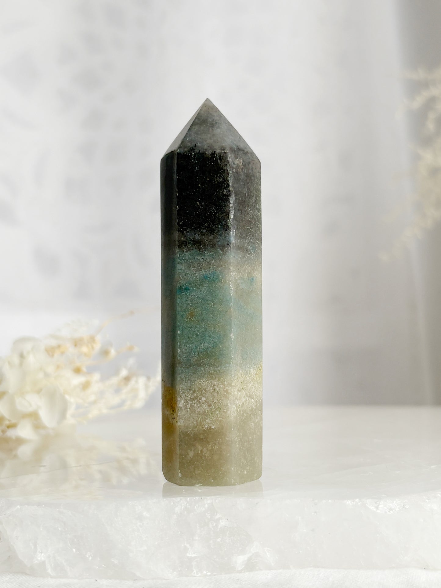 TROLLEITE GENERATOR STONED AND SAGED AUSTRALIA