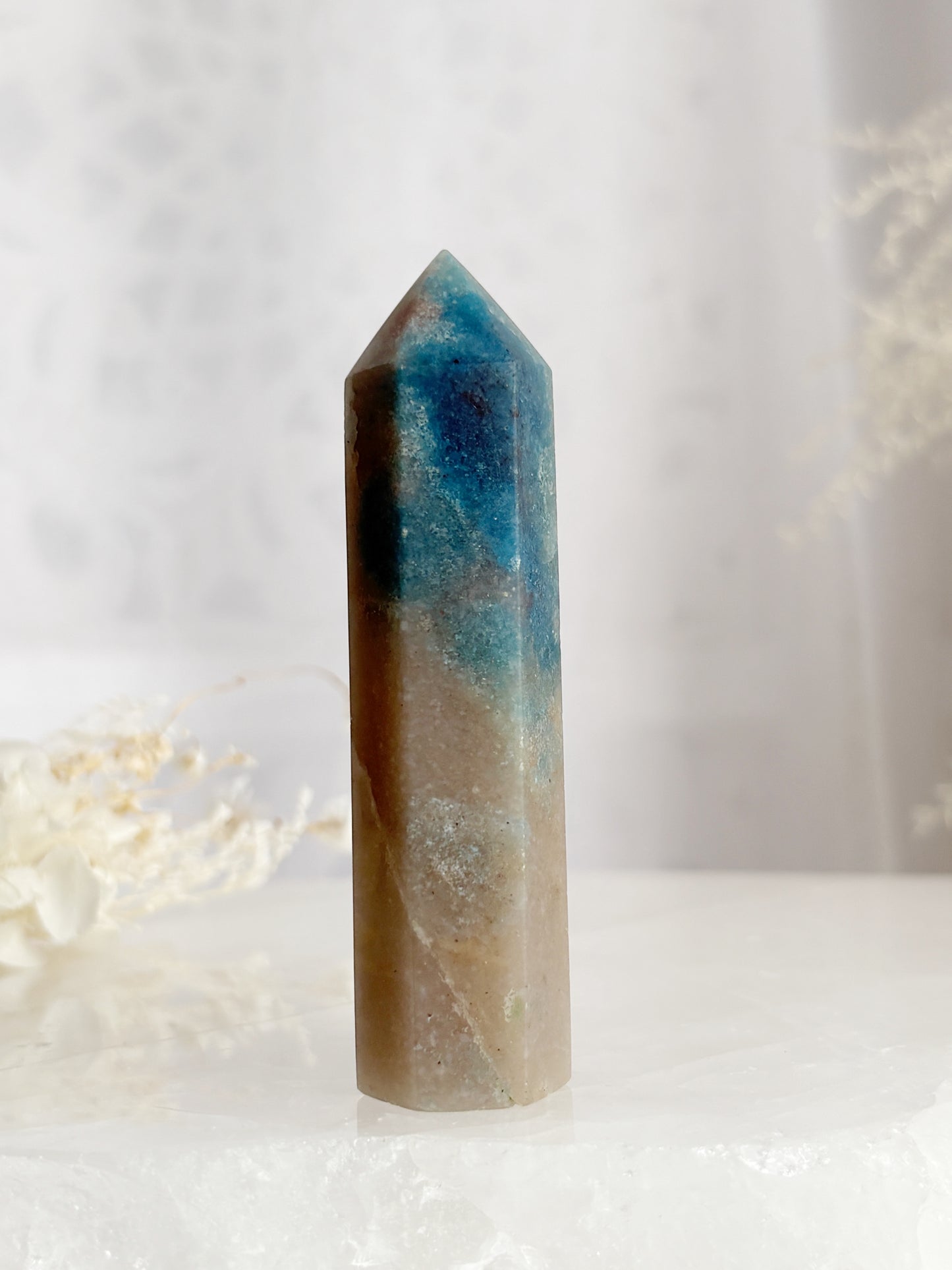 TROLLEITE GENERATOR STONED AND SAGED AUSTRALIA