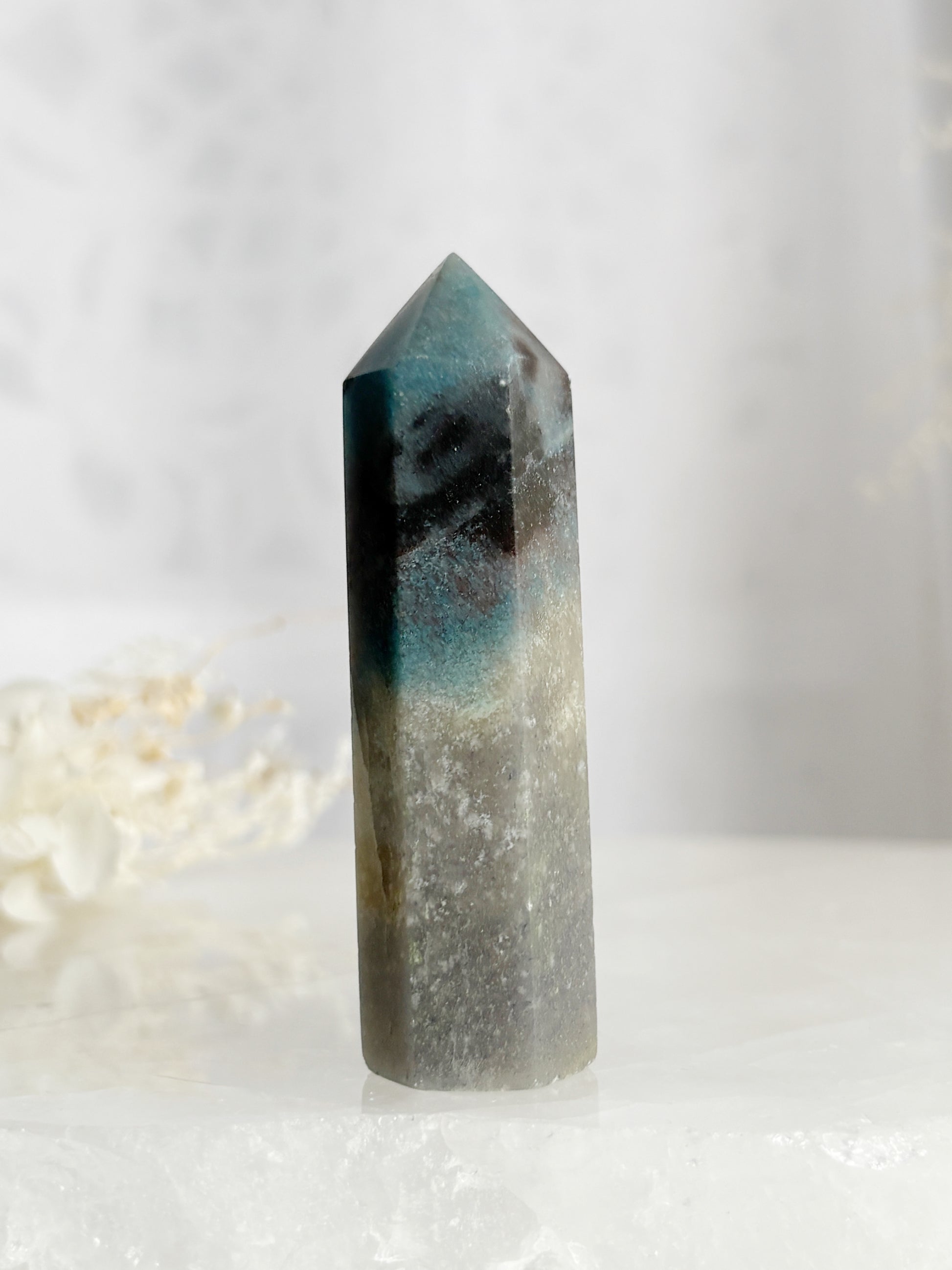 TROLLEITE GENERATOR STONED AND SAGED AUSTRALIA