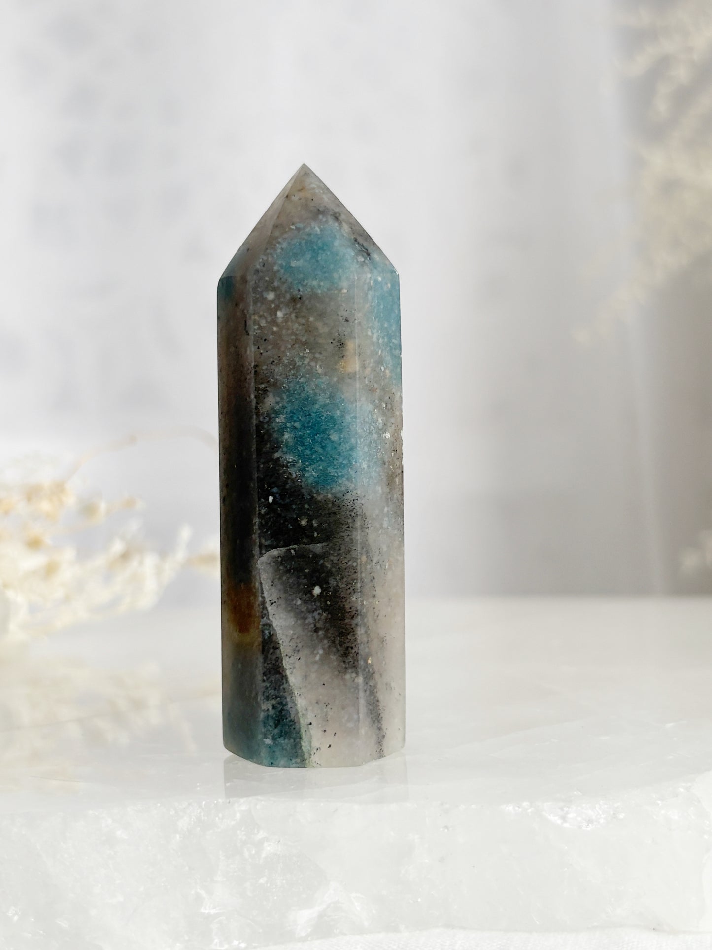 TROLLEITE GENERATOR STONED AND SAGED AUSTRALIA