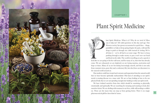 PLANT SPIRIT MEDICINE || NICOLA MCINTOSH