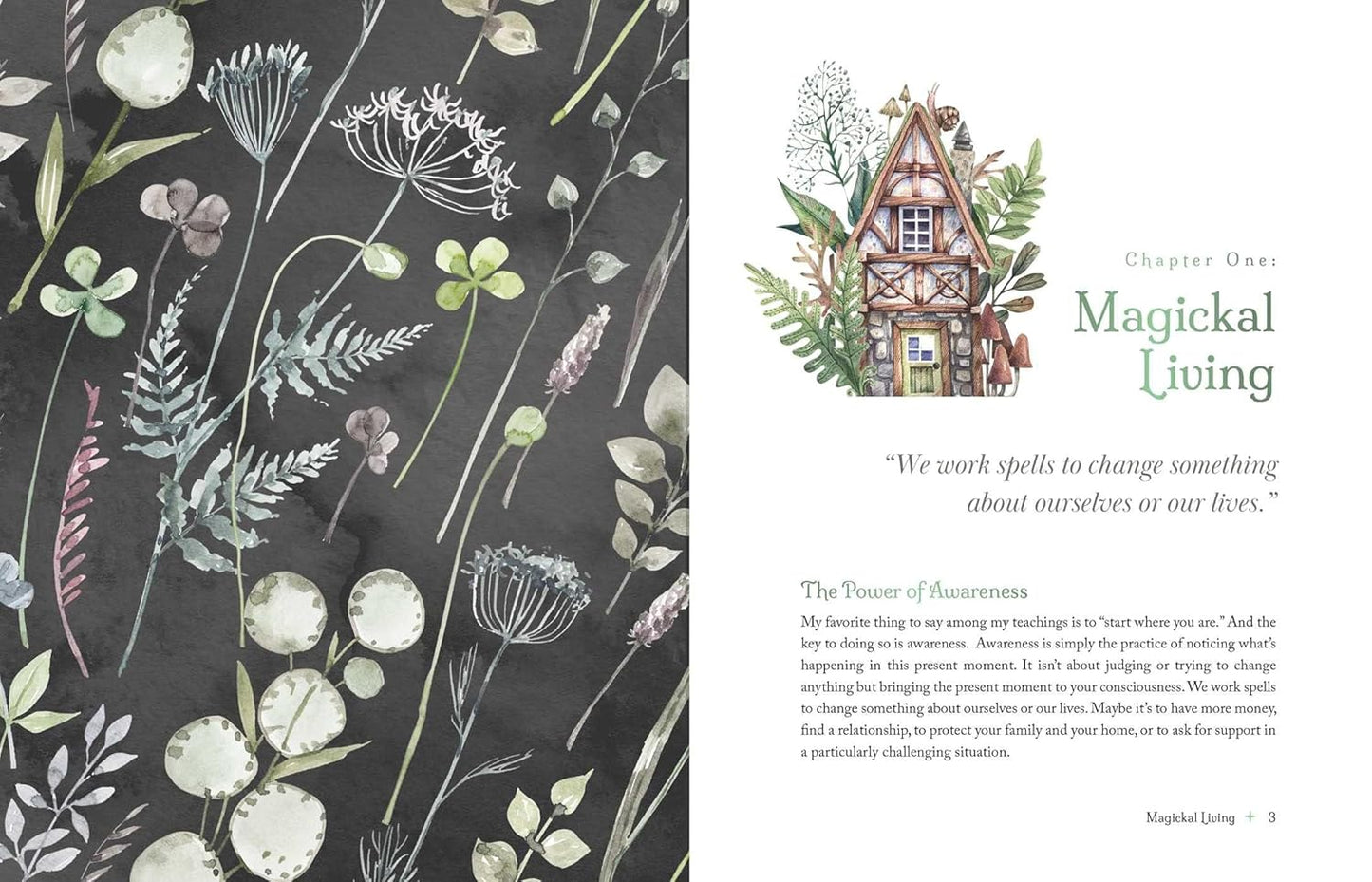 THE WITCH’S APOTHECARY || LORRIANNE ANDERSON